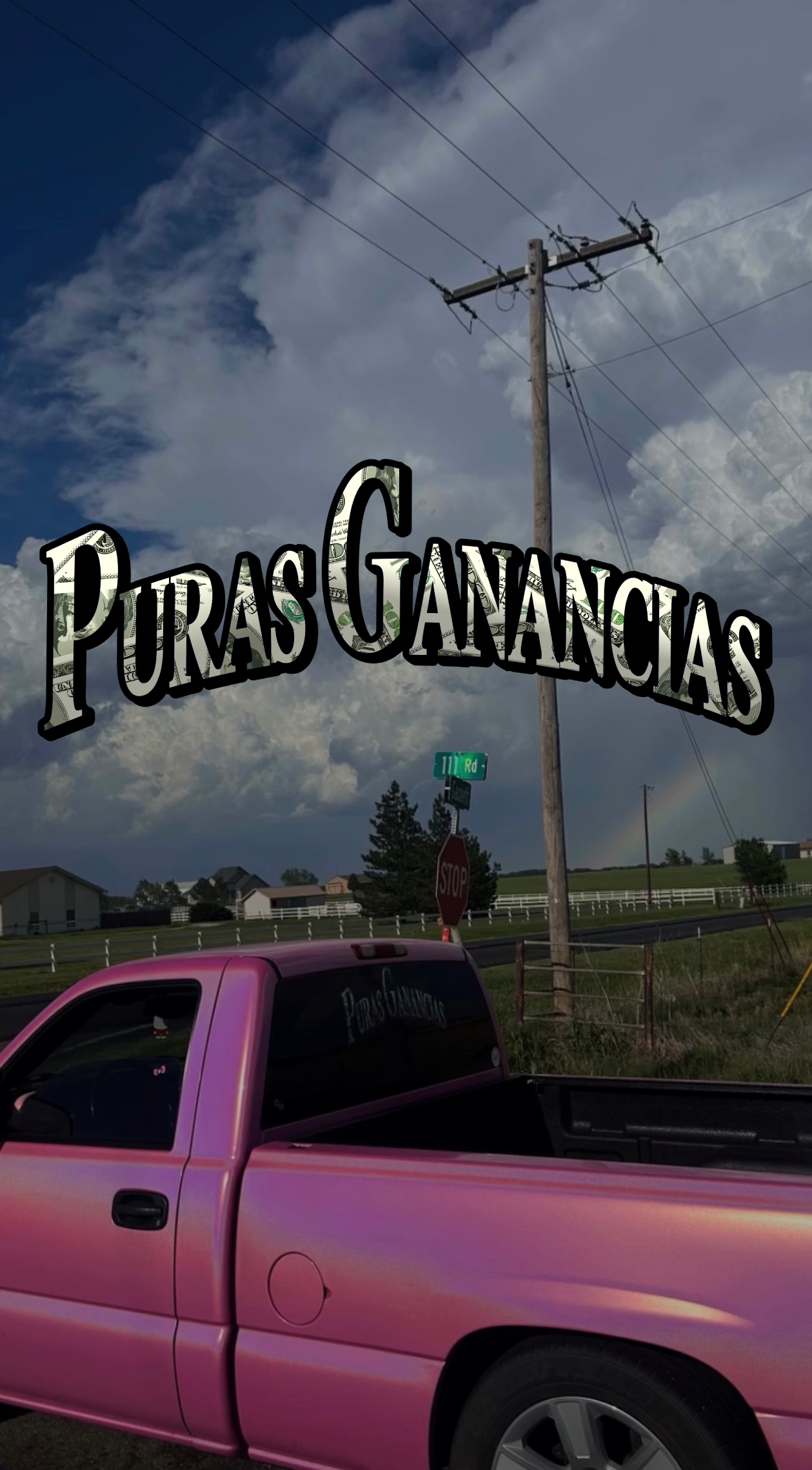 Puras Ganancias Decal